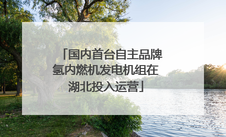 国内首台自主品牌氢内燃机发电机组在湖北投入运营