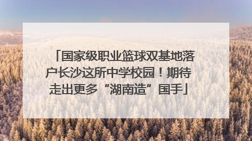 国家级职业篮球双基地落户长沙这所中学校园！期待走出更多“湖南造”国手