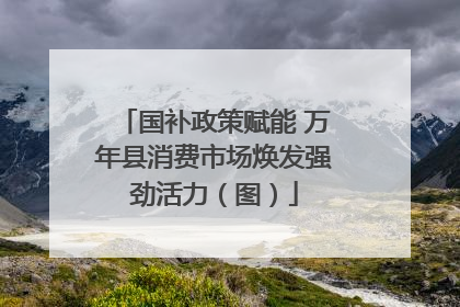 国补政策赋能 万年县消费市场焕发强劲活力（图）