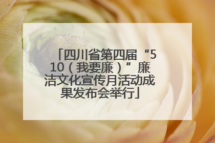 四川省第四届“510（我要廉）”廉洁文化宣传月活动成果发布会举行