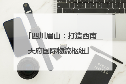 四川眉山：打造西南天府国际物流枢纽
