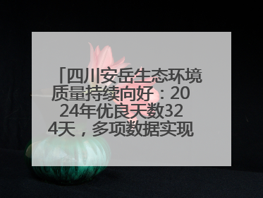 四川安岳生态环境质量持续向好：2024年优良天数324天，多项数据实现100%