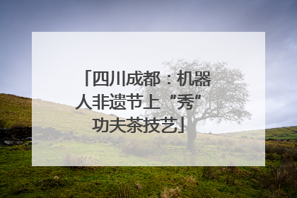 四川成都：机器人非遗节上“秀”功夫茶技艺