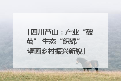 四川芦山：产业“破茧” 生态“织锦” 擘画乡村振兴新貌