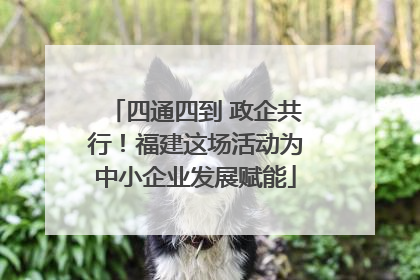 四通四到 政企共行！福建这场活动为中小企业发展赋能