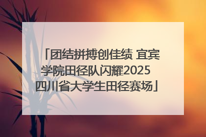 团结拼搏创佳绩 宜宾学院田径队闪耀2025四川省大学生田径赛场