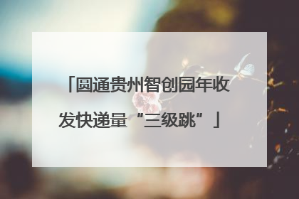 圆通贵州智创园年收发快递量“三级跳”