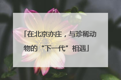在北京亦庄，与珍稀动物的“下一代”相遇