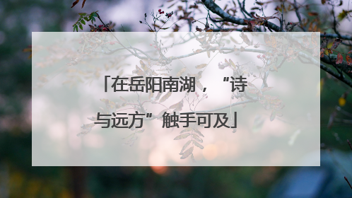 在岳阳南湖，“诗与远方”触手可及