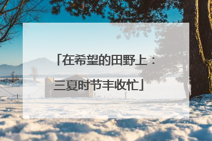在希望的田野上：三夏时节丰收忙