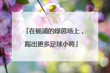在杨浦的绿茵场上，踢出更多足球小将