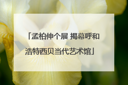 孟柏伸个展 揭幕呼和浩特西贝当代艺术馆