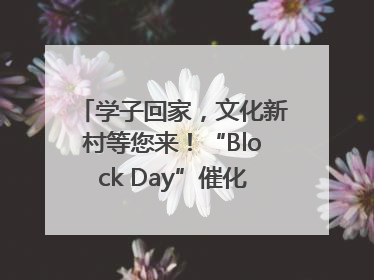 学子回家，文化新村等您来！“Block Day”催化学院式街区新生态