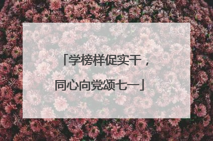 学榜样促实干，同心向党颂七一