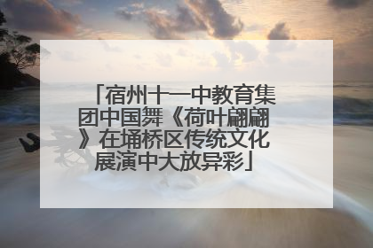 宿州十一中教育集团中国舞《荷叶翩翩》在埇桥区传统文化展演中大放异彩