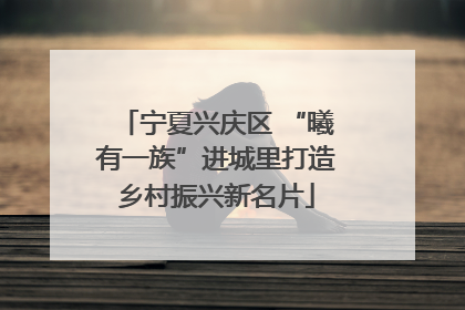 宁夏兴庆区 “曦有一族”进城里打造乡村振兴新名片