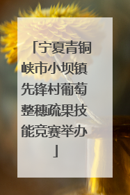 宁夏青铜峡市小坝镇先锋村葡萄整穗疏果技能竞赛举办
