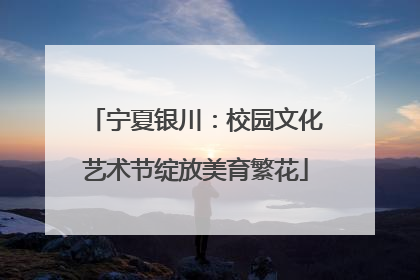 宁夏银川：校园文化艺术节绽放美育繁花