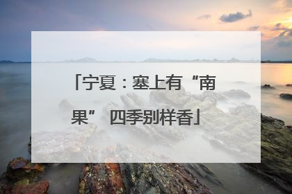 宁夏：塞上有“南果” 四季别样香