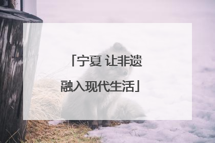 宁夏 让非遗融入现代生活