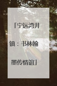 宁远湾井镇：书林翰墨传情谊