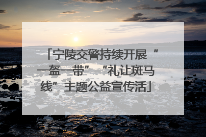 宁陵交警持续开展“一盔一带”“礼让斑马线”主题公益宣传活