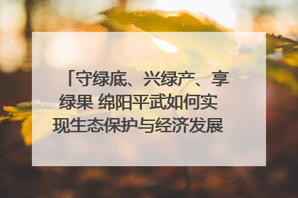 守绿底、兴绿产、享绿果 绵阳平武如何实现生态保护与经济发展双赢？｜新闻发布最前线·深一度