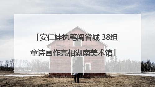 安仁娃执笔闯省城 38组童诗画作亮相湖南美术馆