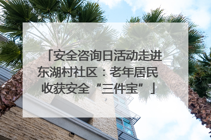 安全咨询日活动走进东湖村社区：老年居民收获安全“三件宝”
