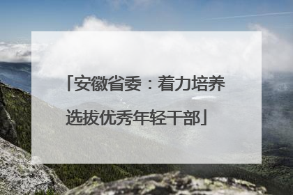 安徽省委：着力培养选拔优秀年轻干部