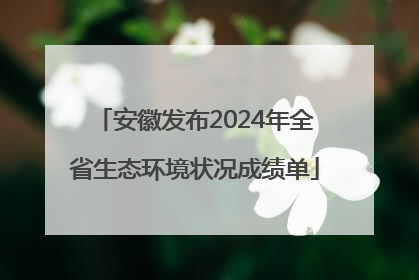 安徽发布2024年全省生态环境状况成绩单
