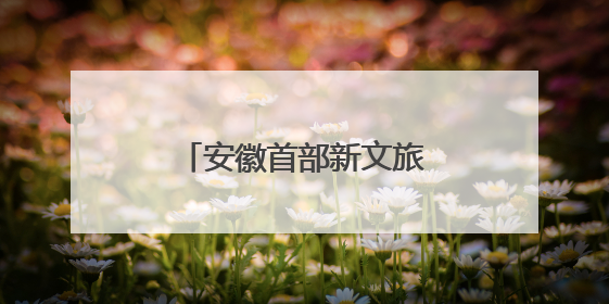 安徽首部新文旅电影《风起秋浦河》在合肥首映