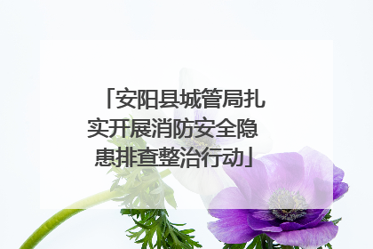 安阳县城管局扎实开展消防安全隐患排查整治行动