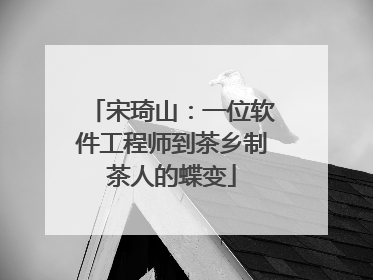 宋琦山：一位软件工程师到茶乡制茶人的蝶变