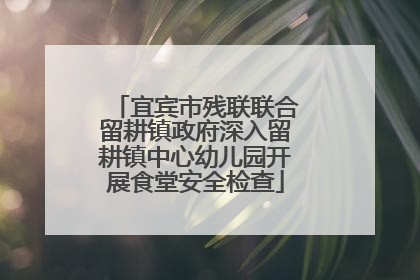 宜宾市残联联合留耕镇政府深入留耕镇中心幼儿园开展食堂安全检查