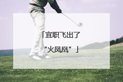 宜职飞出了“火凤凰”