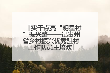 实干点亮“明星村”振兴路——记贵州省乡村振兴优秀驻村工作队员王培欢
