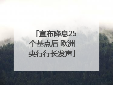 宣布降息25个基点后 欧洲央行行长发声