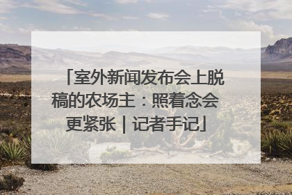 室外新闻发布会上脱稿的农场主：照着念会更紧张｜记者手记