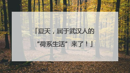 夏天，属于武汉人的“荷系生活”来了！