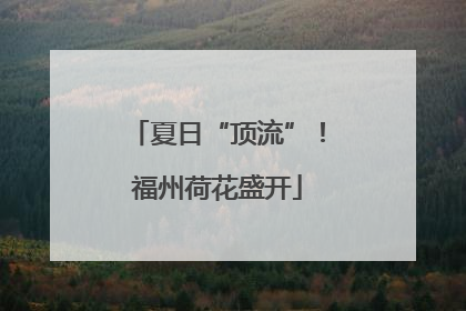 夏日“顶流”！福州荷花盛开