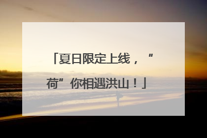 夏日限定上线，“荷”你相遇洪山！