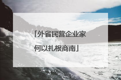 外省民营企业家何以扎根商南