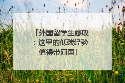 外国留学生感叹：这里的低碳经验值得带回国