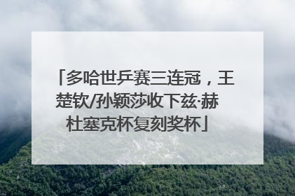 多哈世乒赛三连冠，王楚钦/孙颖莎收下兹·赫杜塞克杯复刻奖杯
