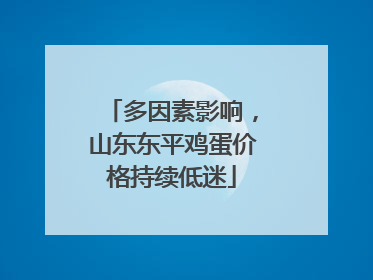 多因素影响，山东东平鸡蛋价格持续低迷