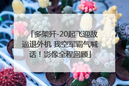 多架歼-20起飞迎敌逼退外机 我空军霸气喊话！影像全程回顾