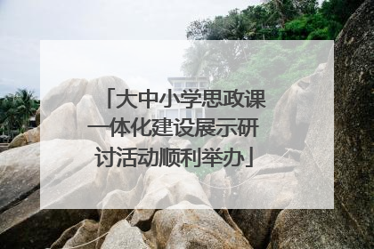 大中小学思政课一体化建设展示研讨活动顺利举办