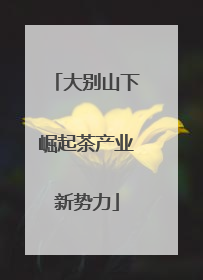 大别山下崛起茶产业新势力