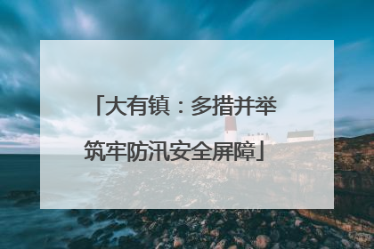 大有镇：多措并举筑牢防汛安全屏障